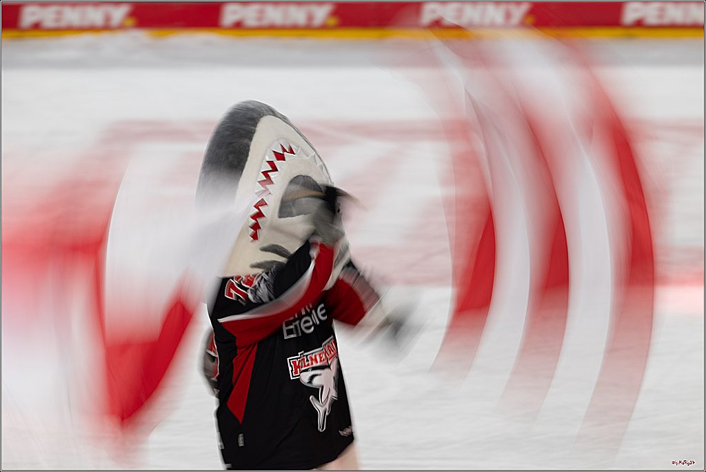 PENNY DEL 1; Kölner Haie - Düsseldorfer EG ; Köln, 16.02.2025